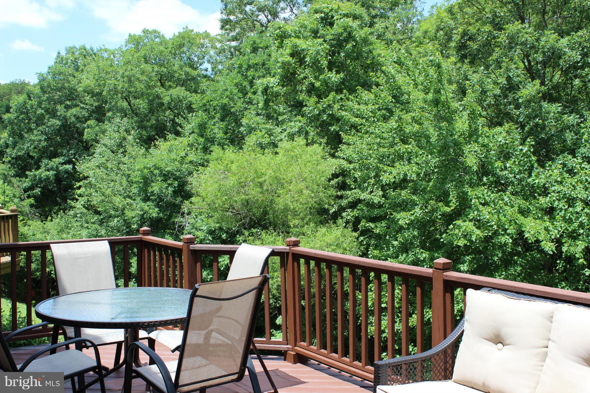 3506 Falling Run Road Laurel, MD 20724 - Photo 15 of 25 Bath