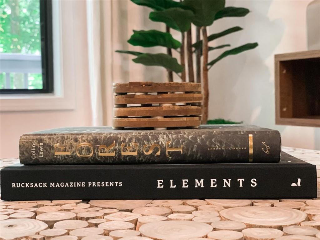 223 Mango Circle Ellijay, GA 30540 - Photo 8 of 43