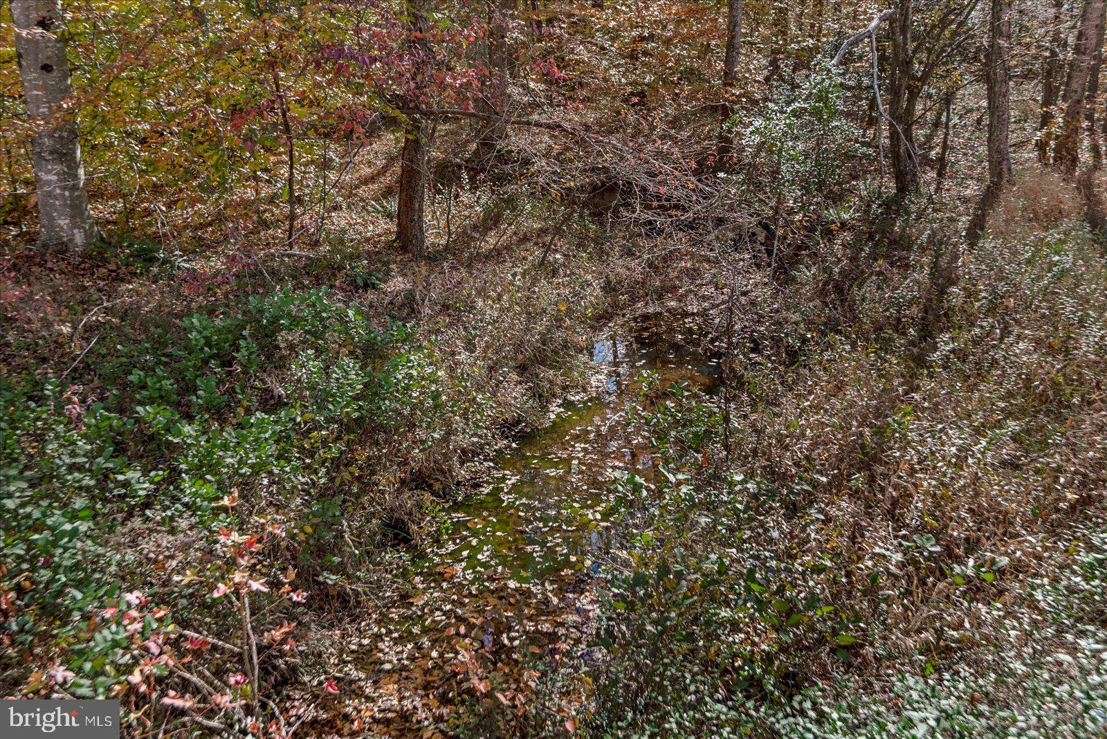 316 Copper Line Road Bumpass, VA 23024 - Photo 19 of 77 Gallery Image 19