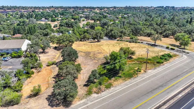 a view of a garden with a pathway