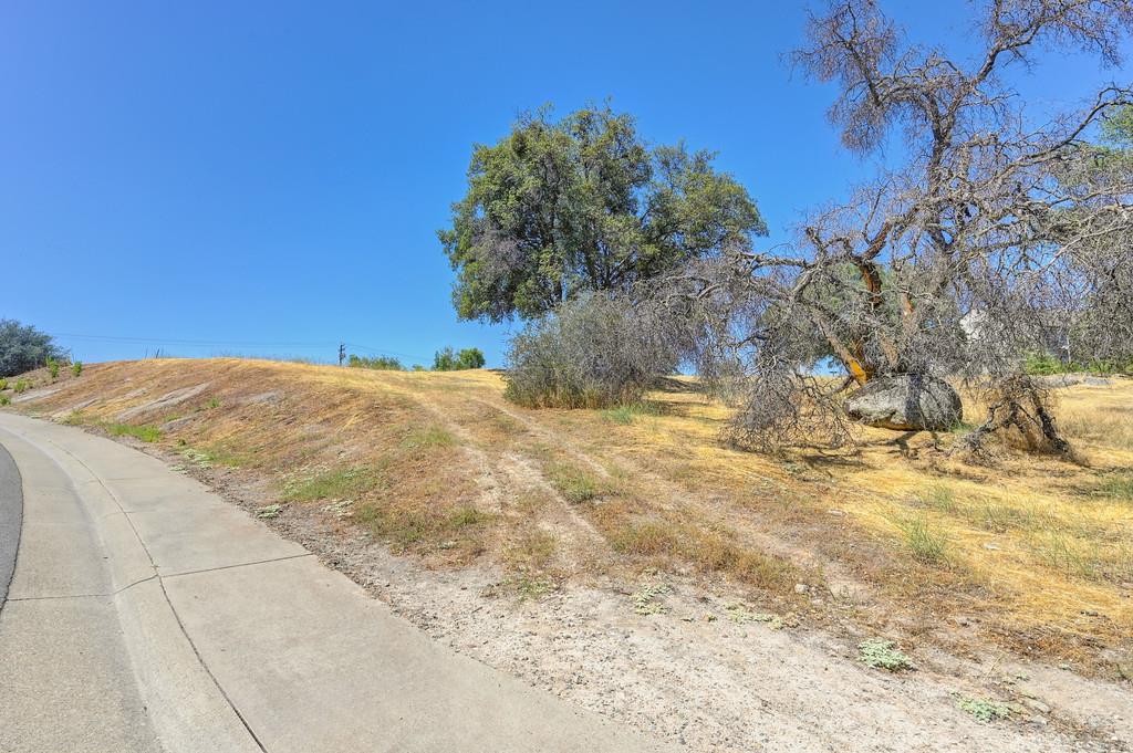 5500 China Garden Road Rocklin, CA 95677 - Photo 15 of 43 a view of a yard with a tree