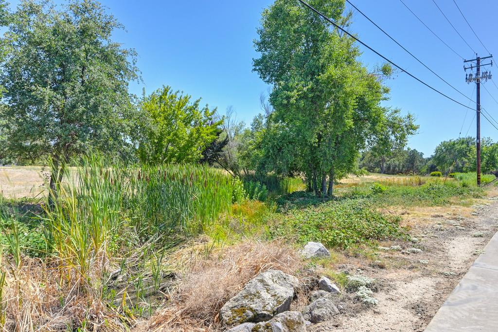 5500 China Garden Road Rocklin, CA 95677 - Photo 16 of 43 a view of a yard with plants and large trees