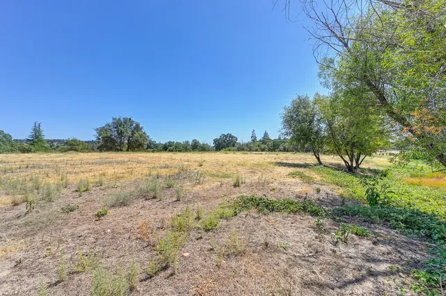 a view of backyard with green space