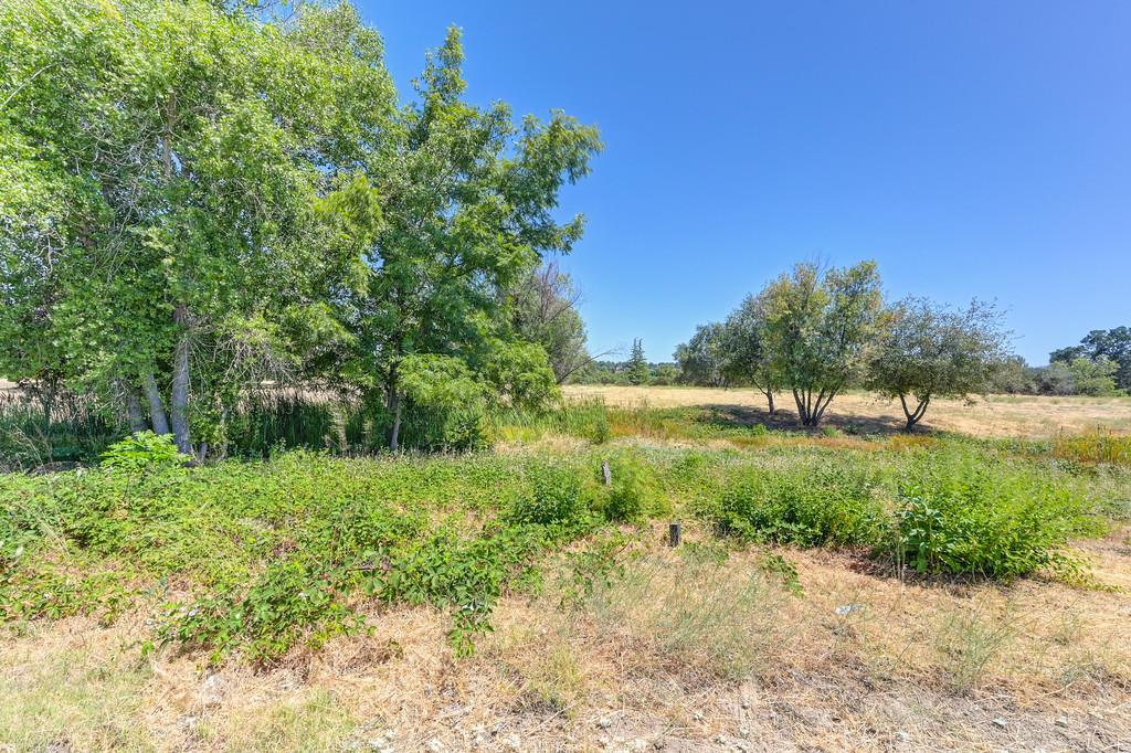 5500 China Garden Road Rocklin, CA 95677 - Photo 19 of 43 a view of backyard with green space