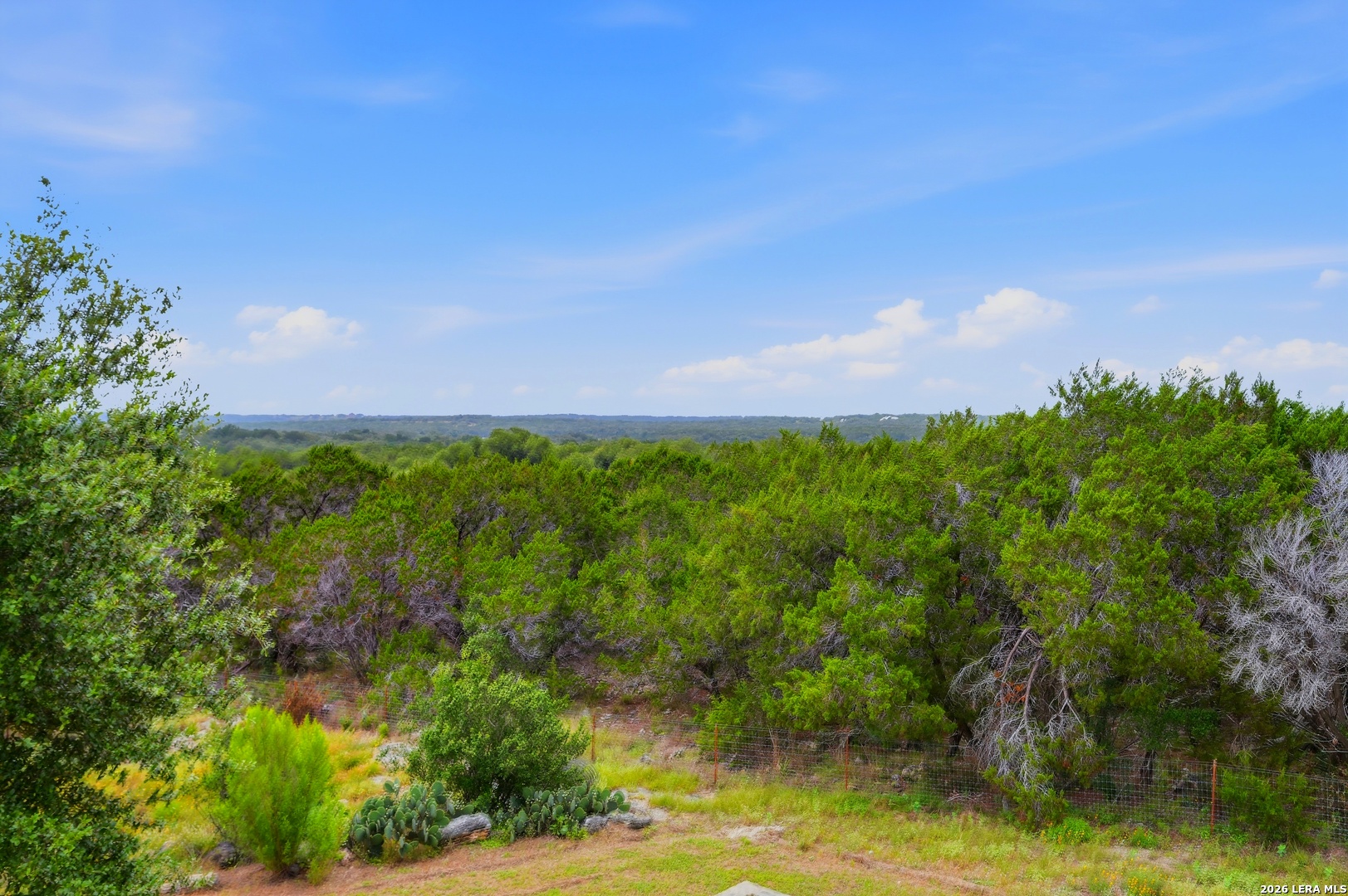 5621 Ranch Road 32 Blanco, TX 78606 - Photo 41 of 42