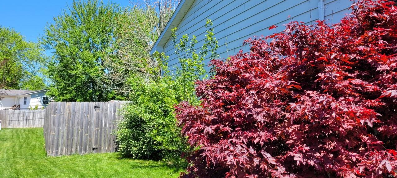 168 Willowood Road Litchfield, IL 62056 - Photo 4 of 26