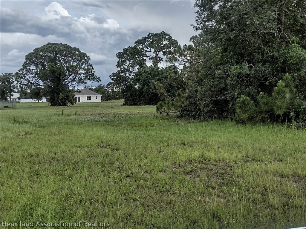 7900 Granada Road Sebring, FL 33876 - Photo 2 of 11 a view of a field with a tree