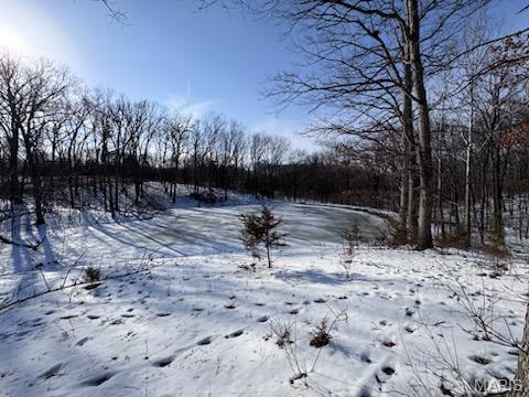 98 Oak Tree Lane Winfield, MO 63389 - Photo 2 of 5