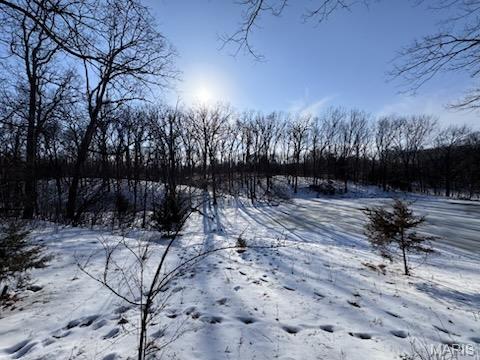 98 Oak Tree Lane Winfield, MO 63389 - Photo 3 of 5