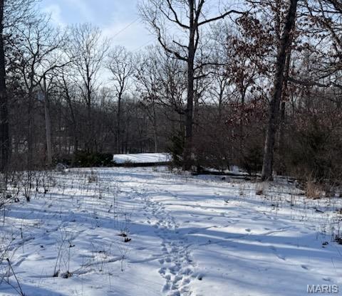 98 Oak Tree Lane Winfield, MO 63389 - Photo 5 of 5