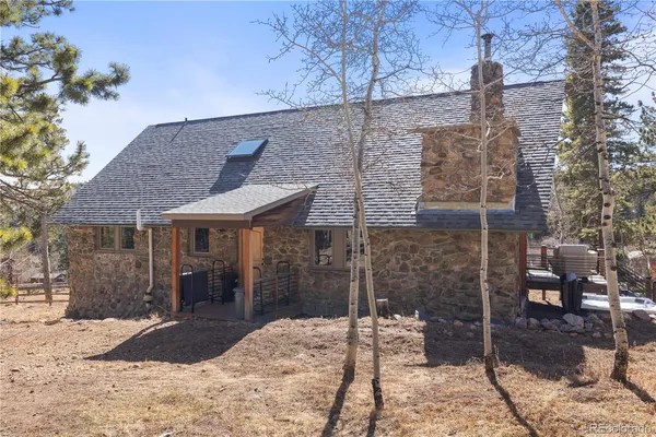 a view of a yard with plants and trees
