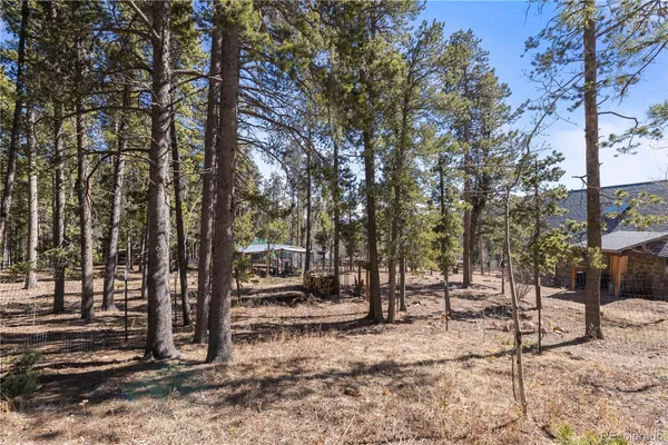 a view of a yard with a tree