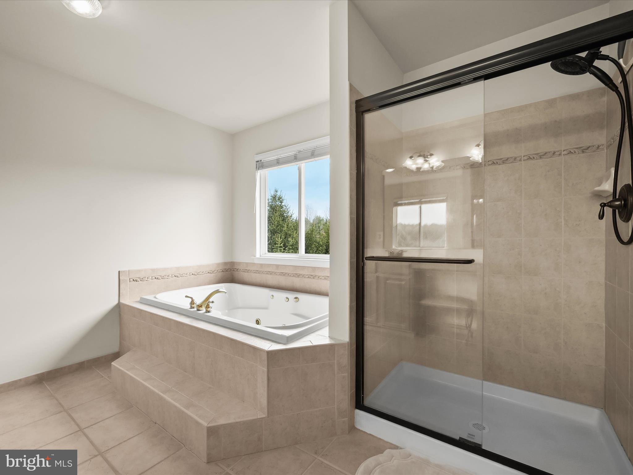 7696 Swallow Road Sykesville, MD 21784 - Photo 35 of 143 Soaking Tub - Glass Enclosed Shower