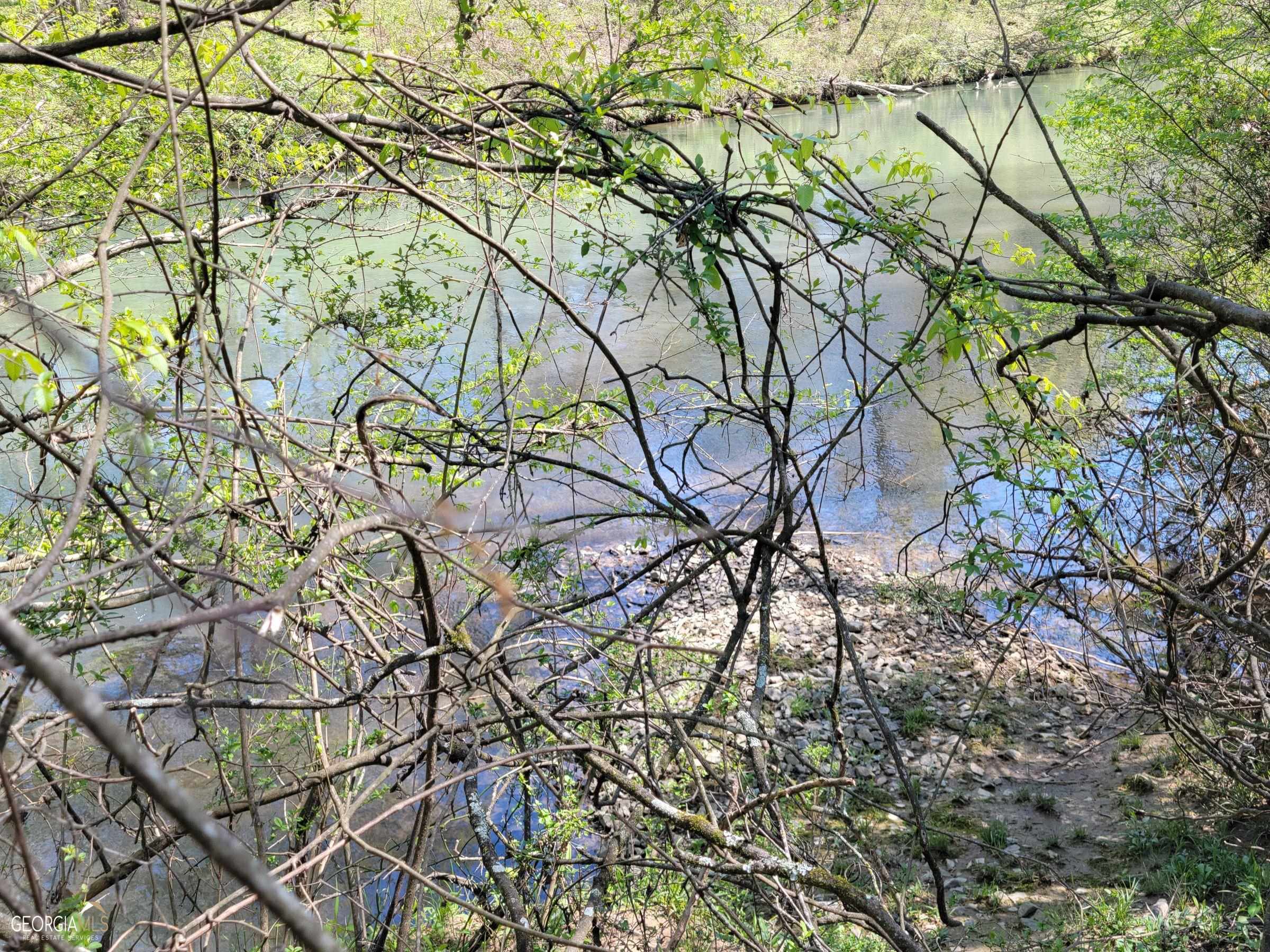 0 Sand Pit Road Summerville, GA 30747 - Photo 11 of 15