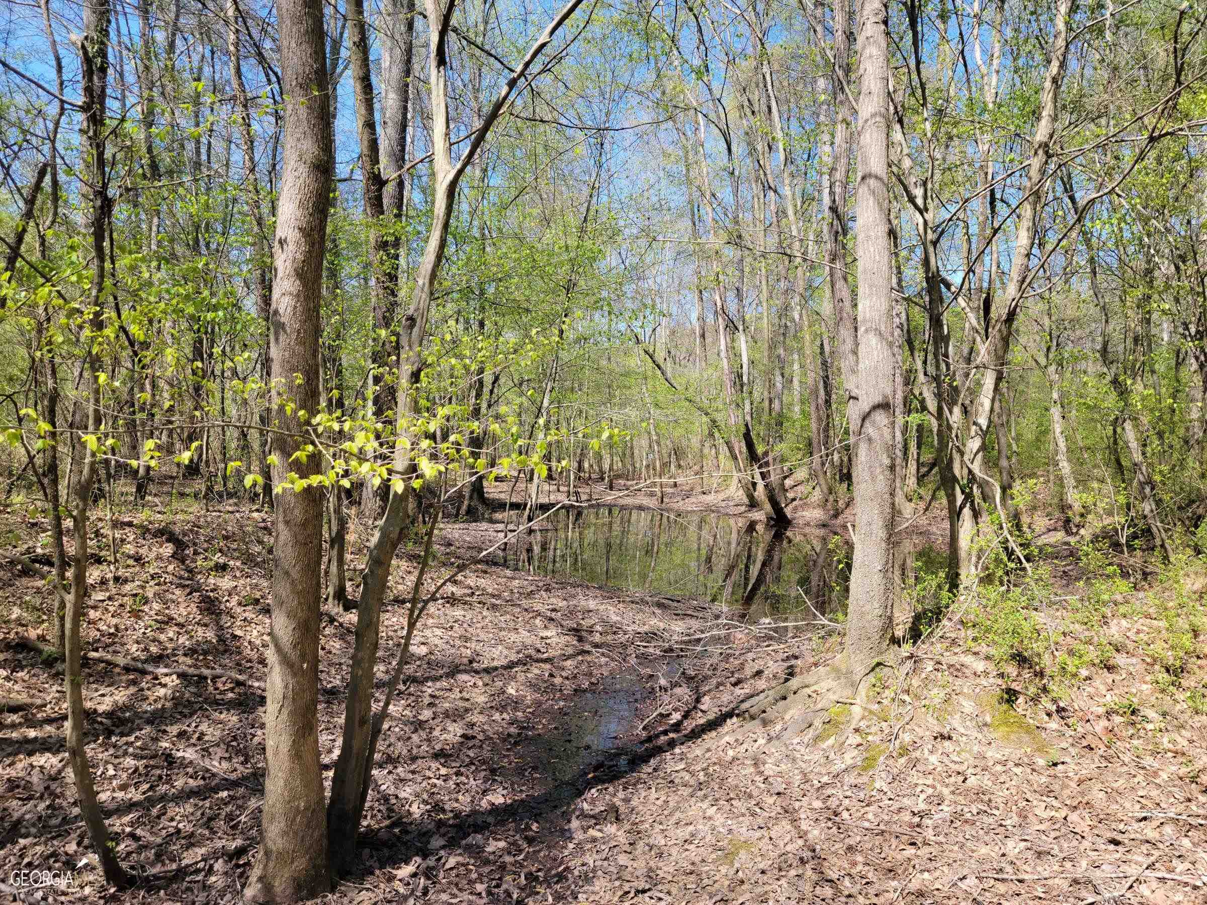 0 Sand Pit Road Summerville, GA 30747 - Photo 12 of 15