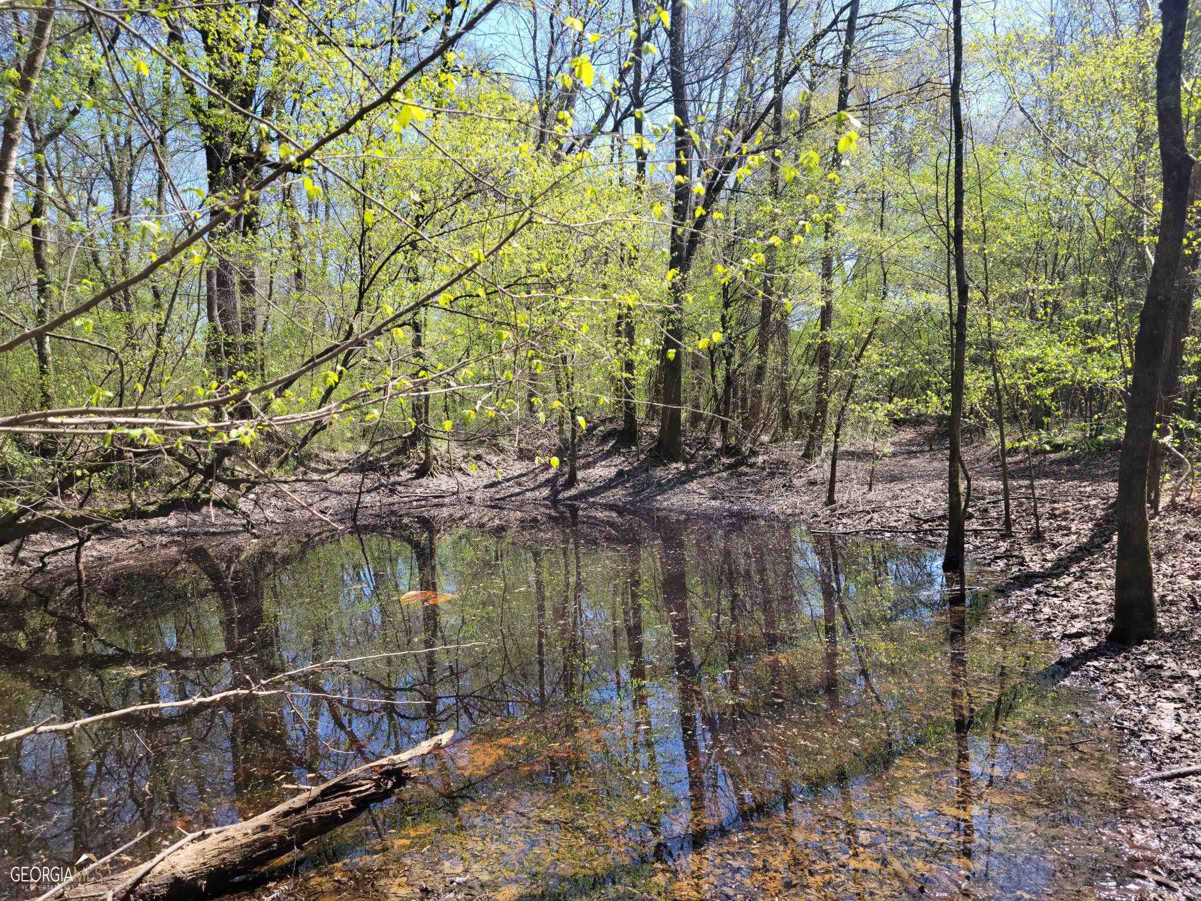 0 Sand Pit Road Summerville, GA 30747 - Photo 13 of 15