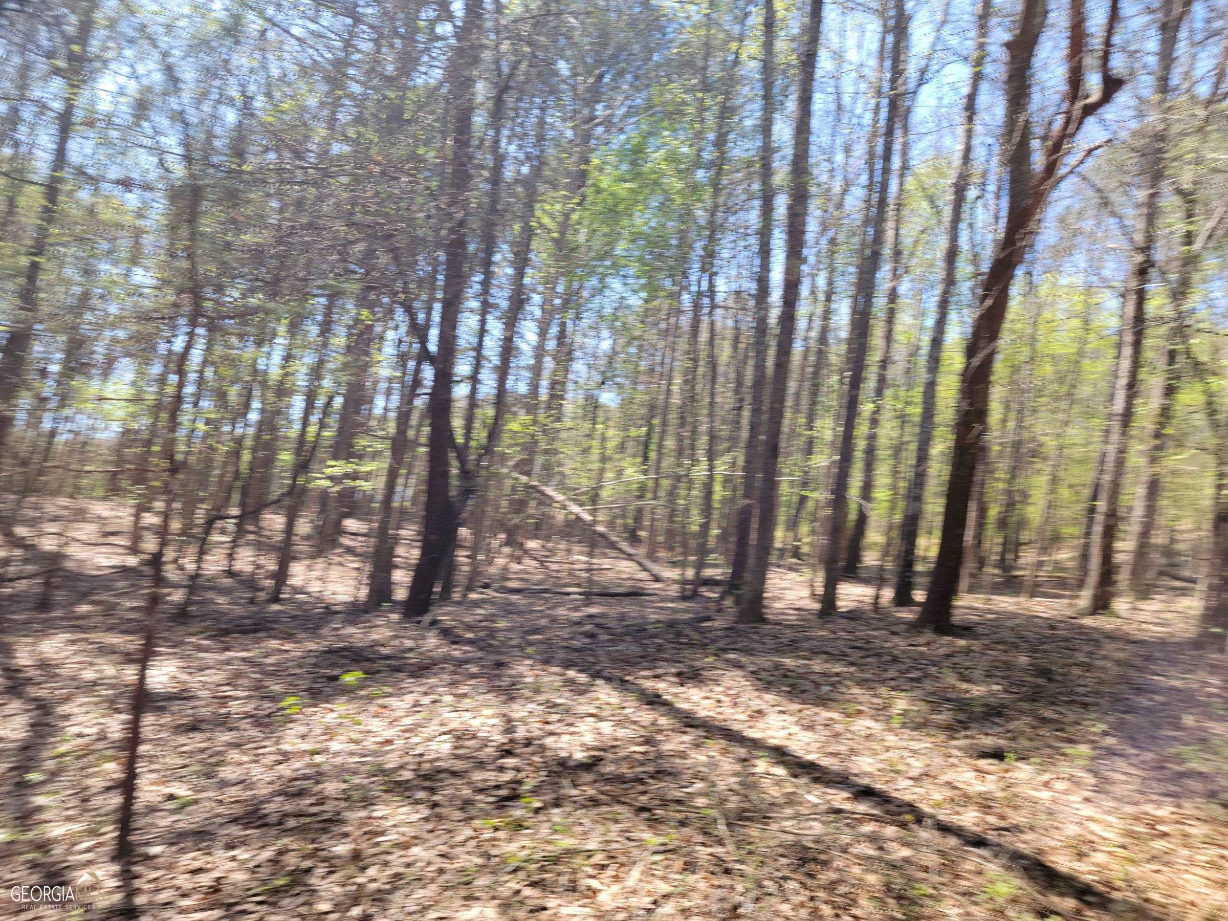 0 Sand Pit Road Summerville, GA 30747 - Photo 14 of 15