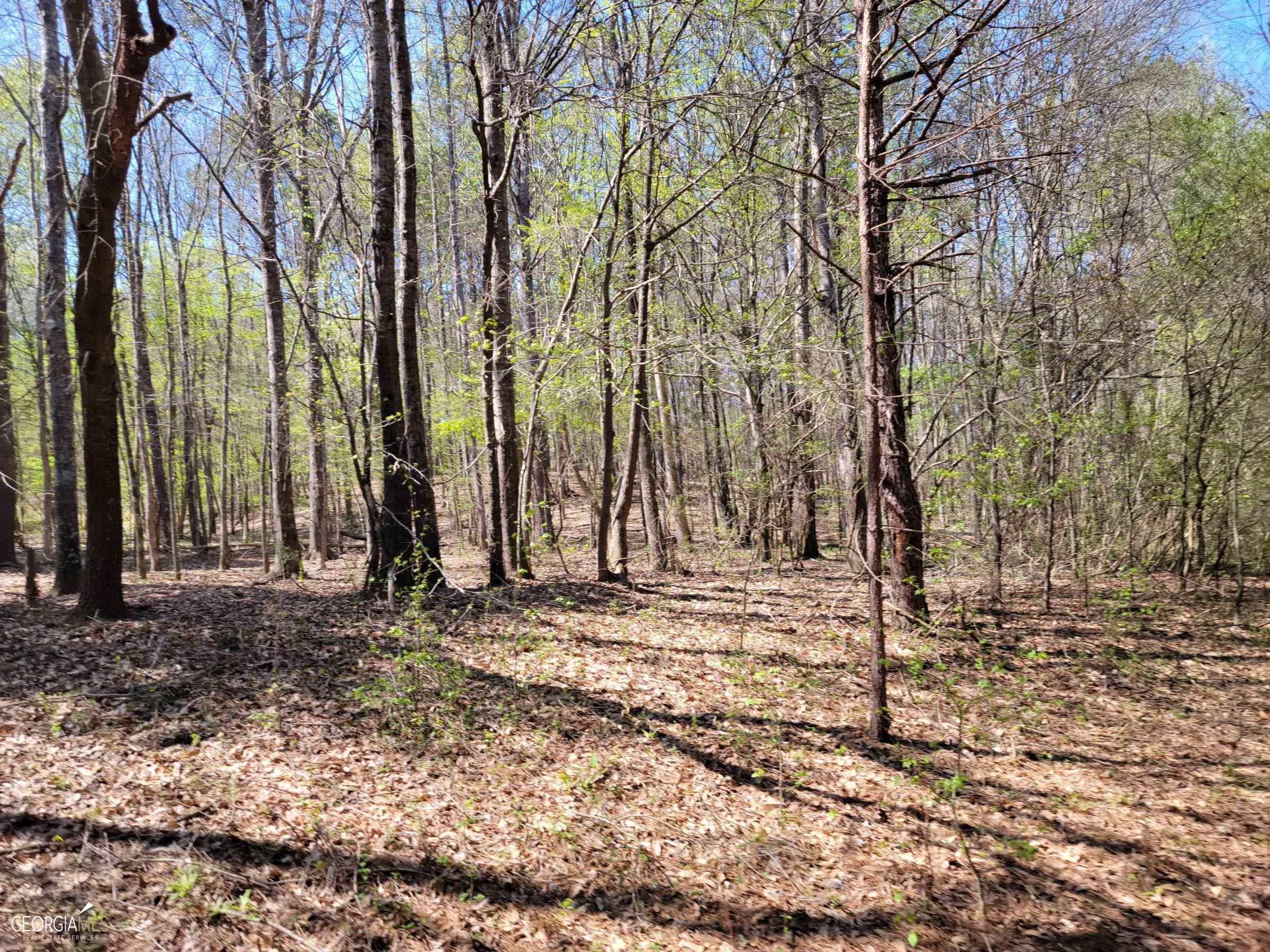 0 Sand Pit Road Summerville, GA 30747 - Photo 15 of 15