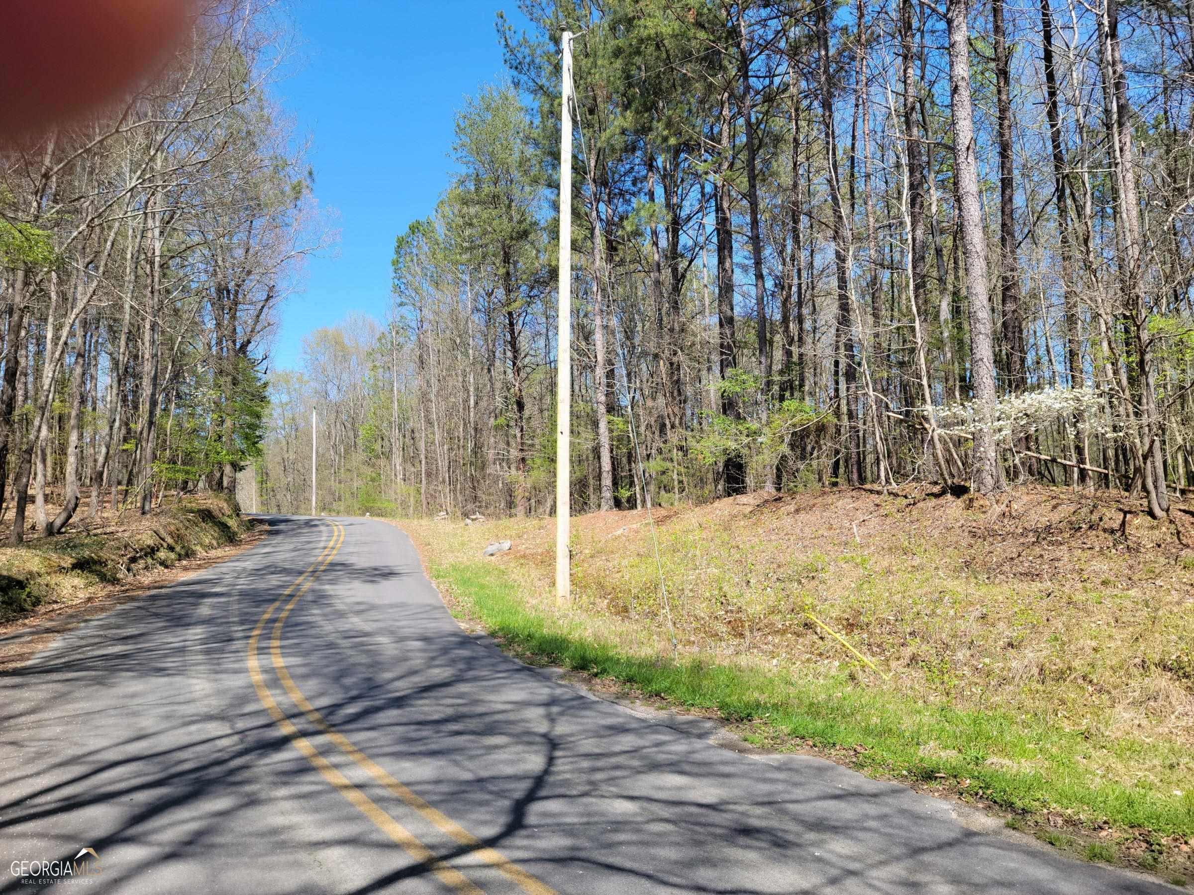 0 Sand Pit Road Summerville, GA 30747 - Photo 3 of 15