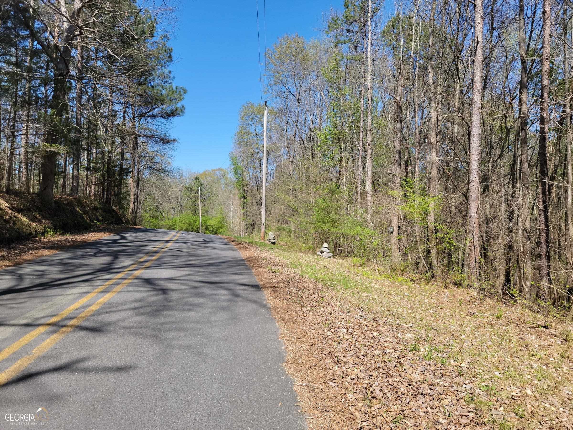 0 Sand Pit Road Summerville, GA 30747 - Photo 4 of 15