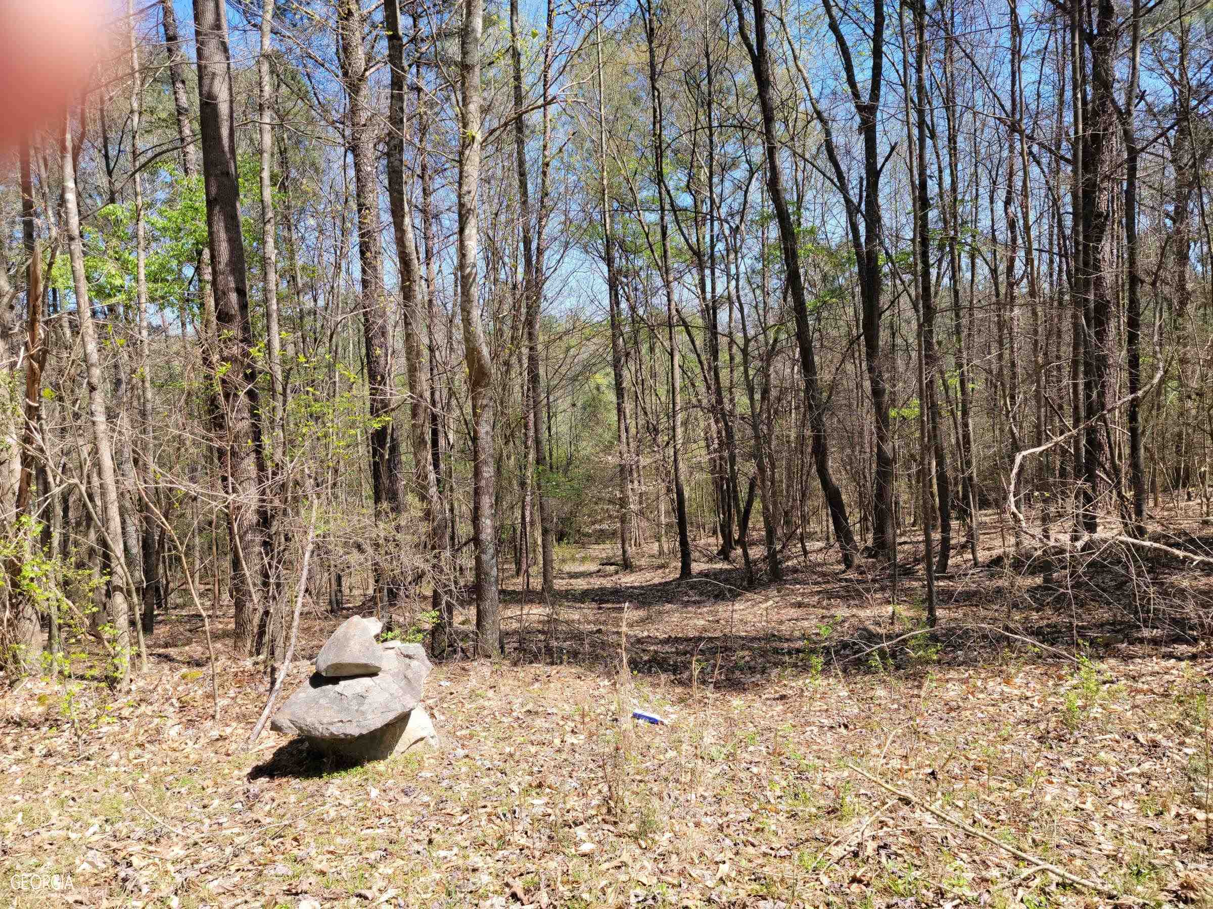 0 Sand Pit Road Summerville, GA 30747 - Photo 5 of 15