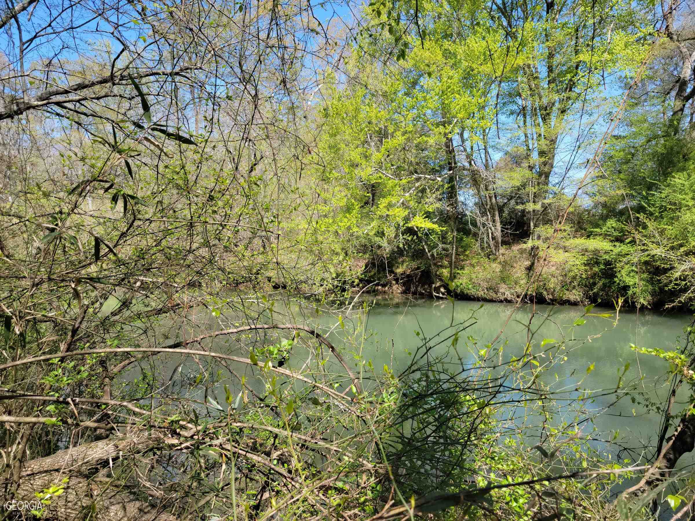 0 Sand Pit Road Summerville, GA 30747 - Photo 8 of 15