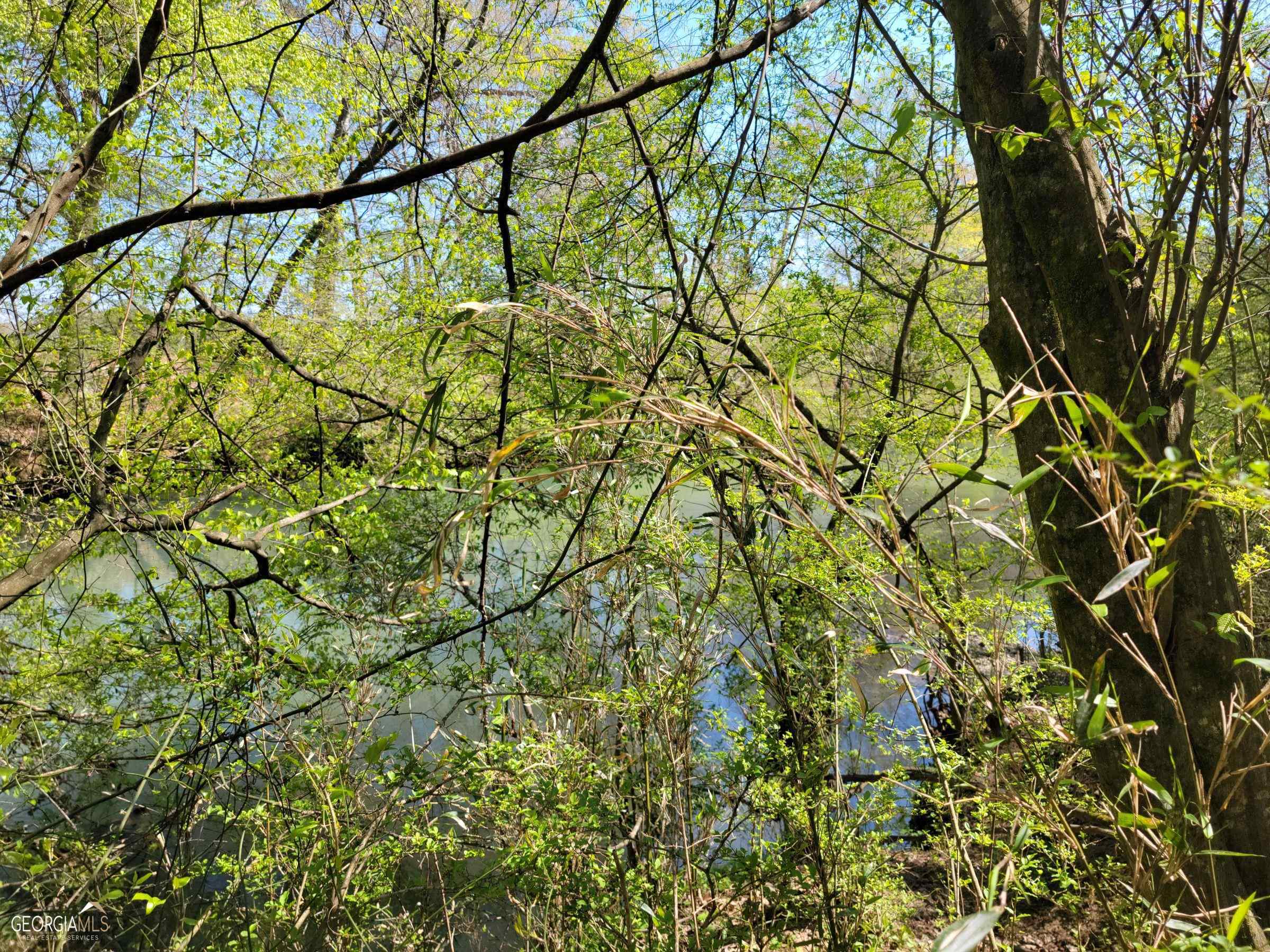 0 Sand Pit Road Summerville, GA 30747 - Photo 9 of 15
