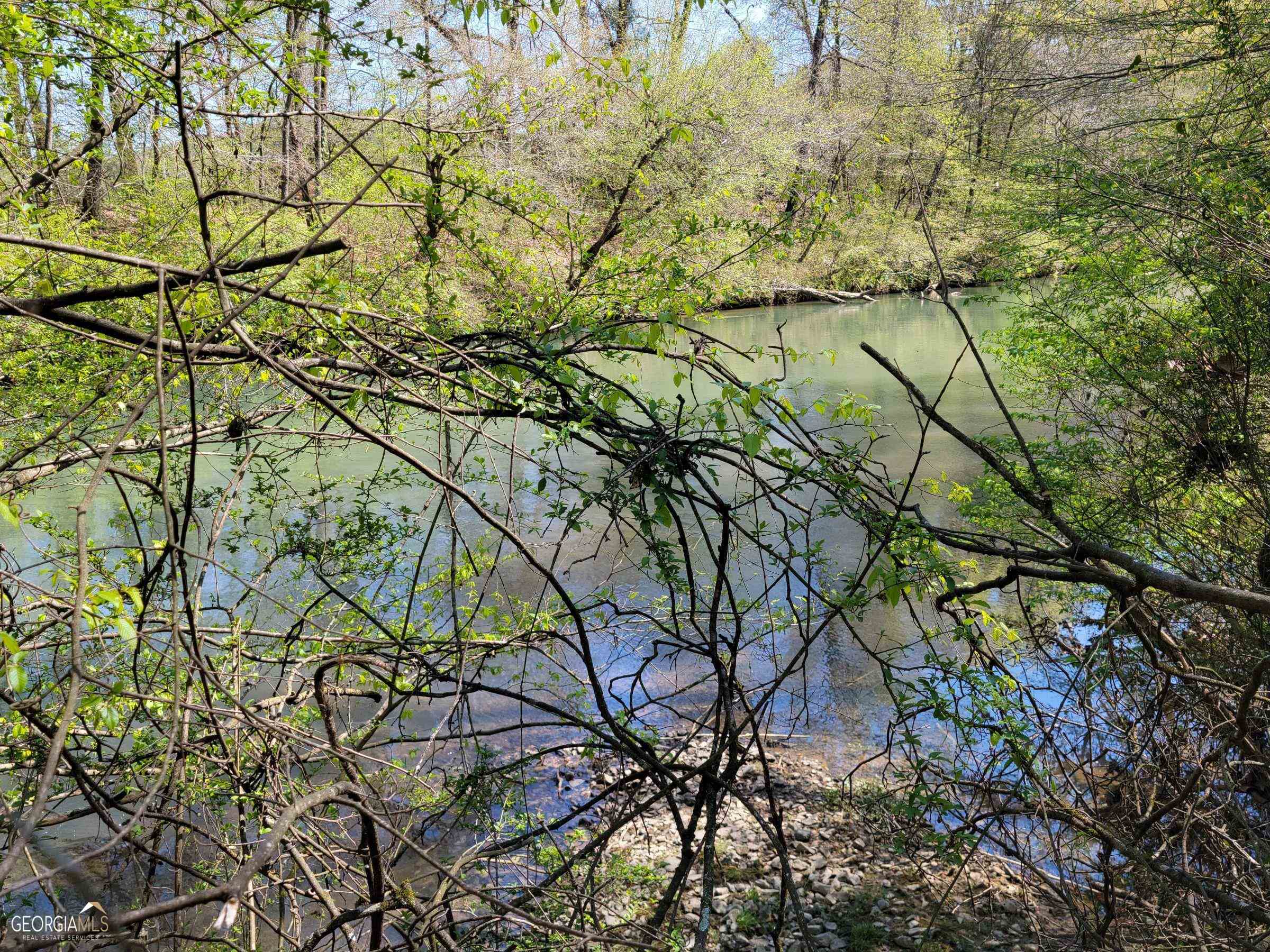 0 Sand Pit Road Summerville, GA 30747 - Photo 10 of 15