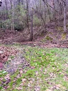 1.26 Acres