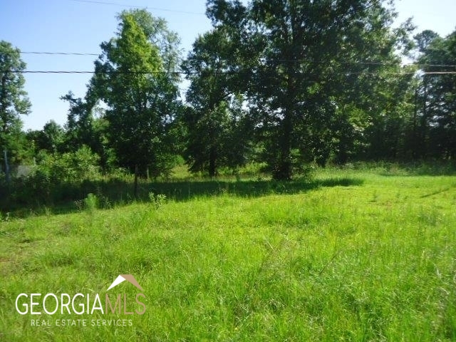 0 Camp Joycliff Road Macon, GA 31211 - Photo 1 of 1 Gallery Image 1