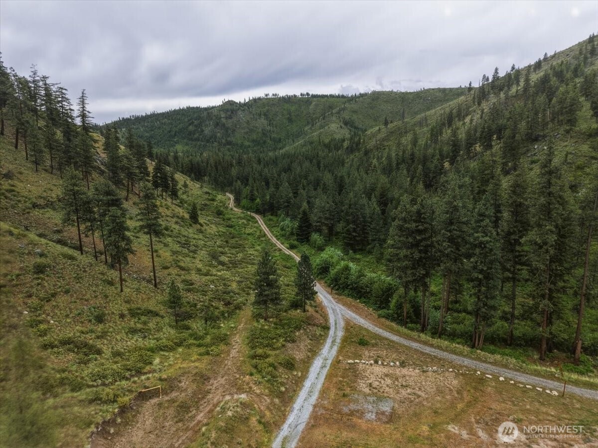 0 Washington Creek Road Chelan, WA 98816 - Photo 22 of 29 a view of a forest with a mountain