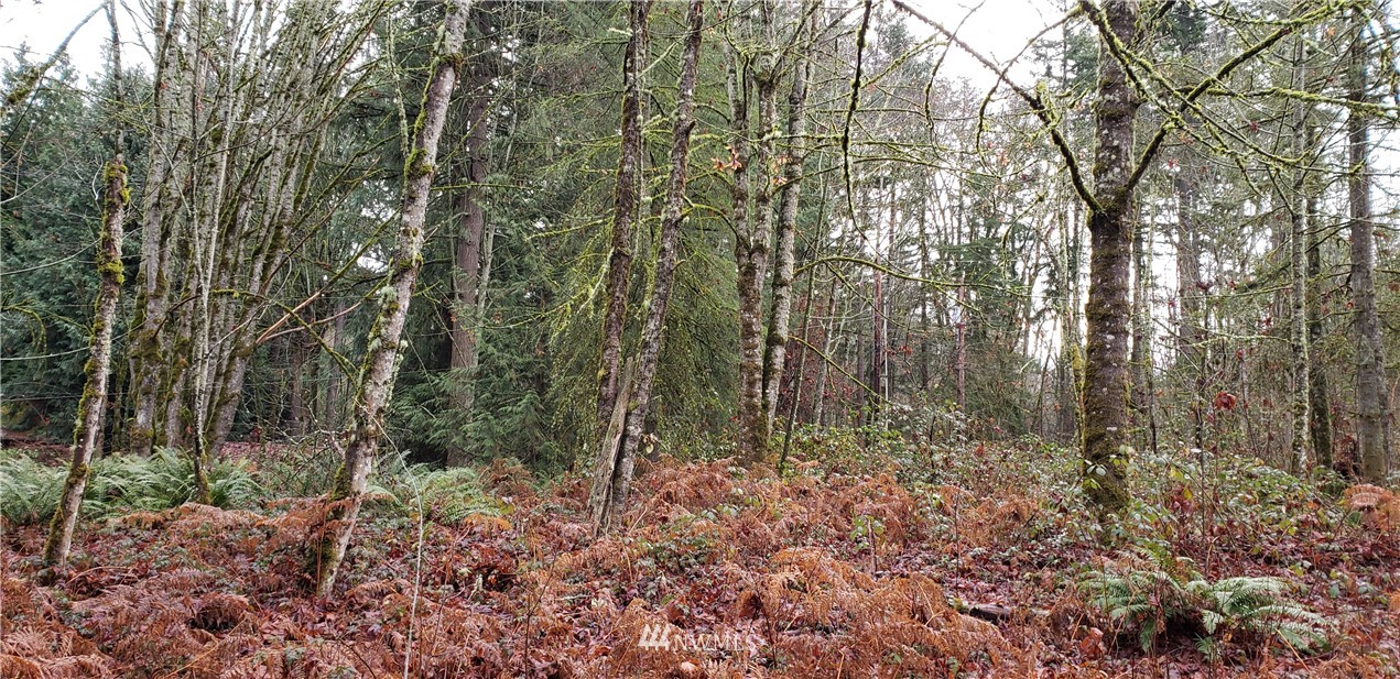 1403 Southeast 190th Street Renton, WA 98058 - Photo 14 of 20