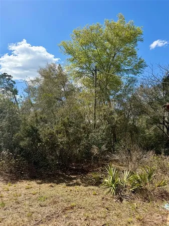 $34,000 | 15575 Northeast 234th Place, Fort McCoy, FL 32134