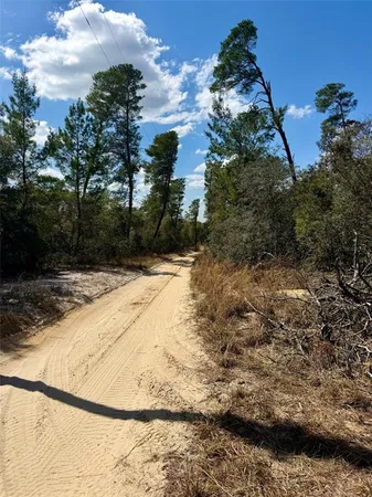 $34,000 | 15575 Northeast 234th Place, Fort McCoy, FL 32134