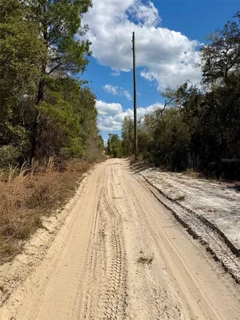 $34,000 | 15575 Northeast 234th Place, Fort McCoy, FL 32134