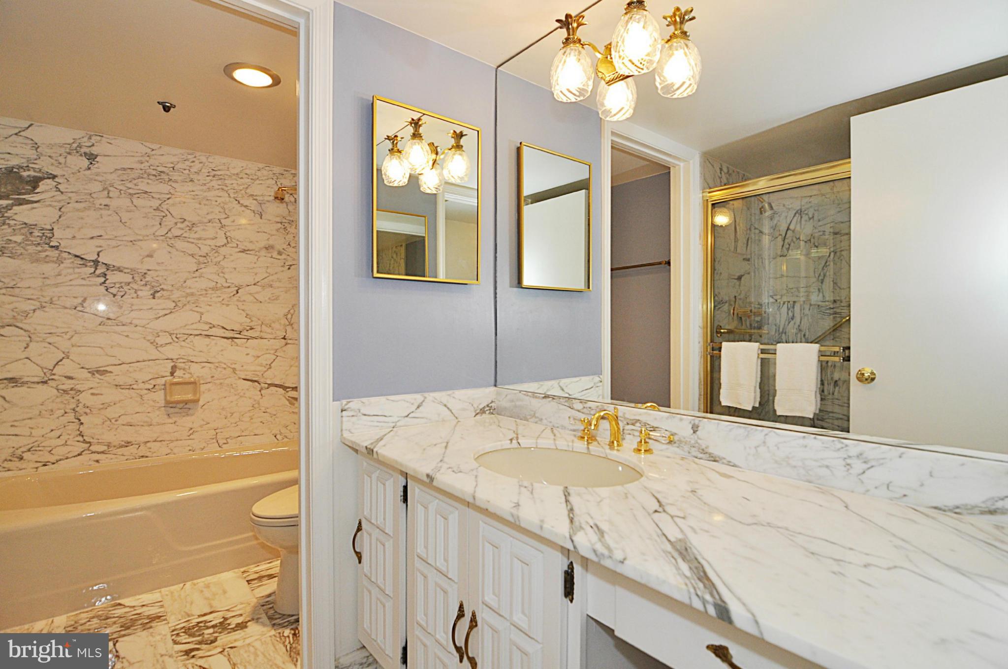 1101 South Arlington Ridge Road, Unit 414 Arlington, VA 22202 - Photo 16 of 30 Bath (Master)