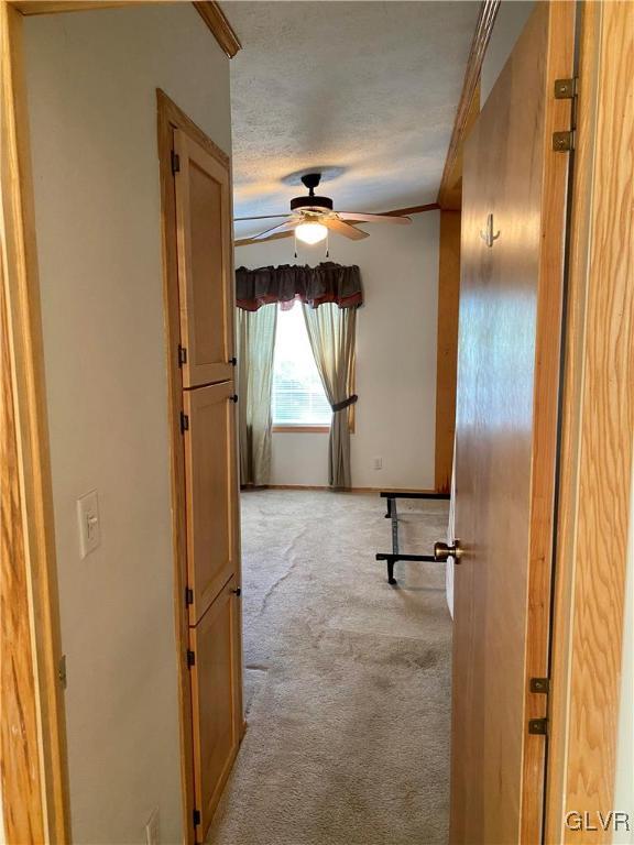 8794 Turkey Ridge Road Breinigsville, PA 18031 - Photo 16 of 24 Gallery Image 16