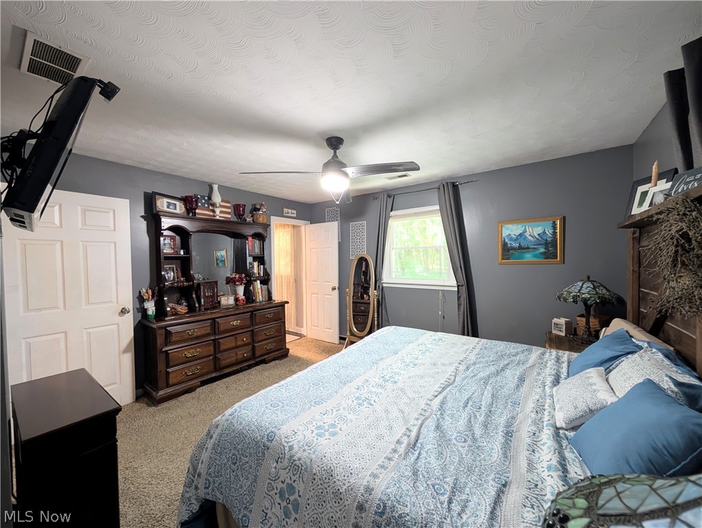 6700 McCaslin Road Nashport, OH 43830 - Photo 21 of 30 Carpeted room with a ceiling fan, recessed window, and gray painted walls