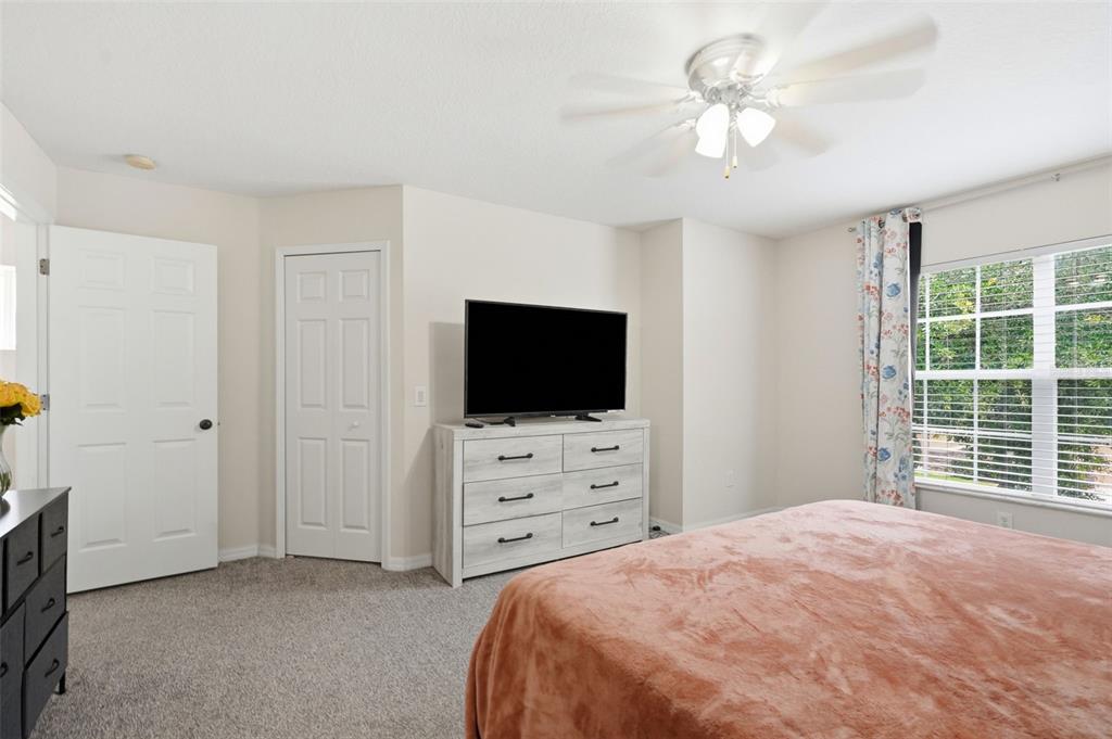 11828 Castine Street New Port Richey, FL 34654 - Photo 19 of 36