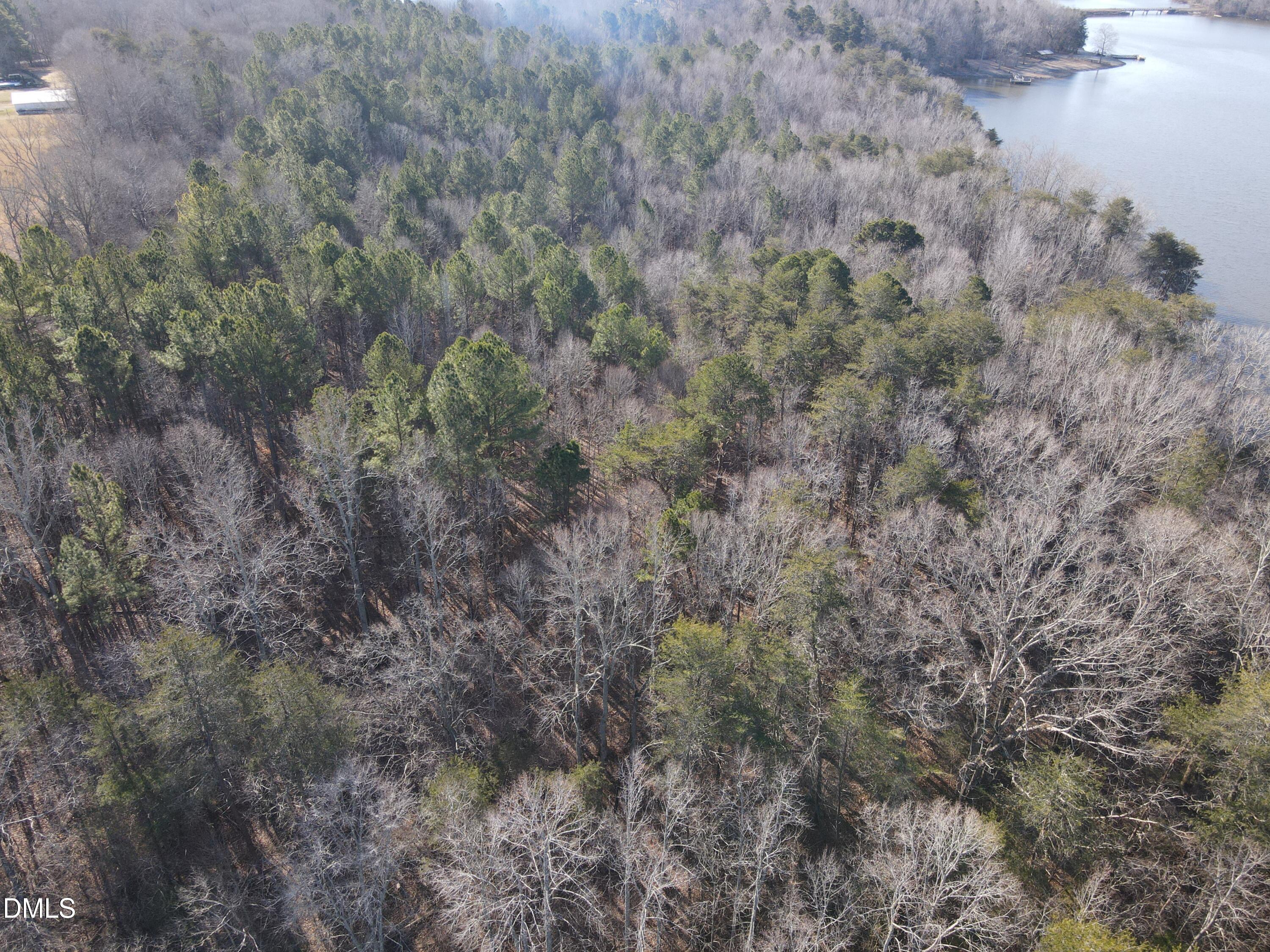 0 Bason Road Mebane, NC 27302 - Photo 15 of 34 a view of a forest with lots of trees