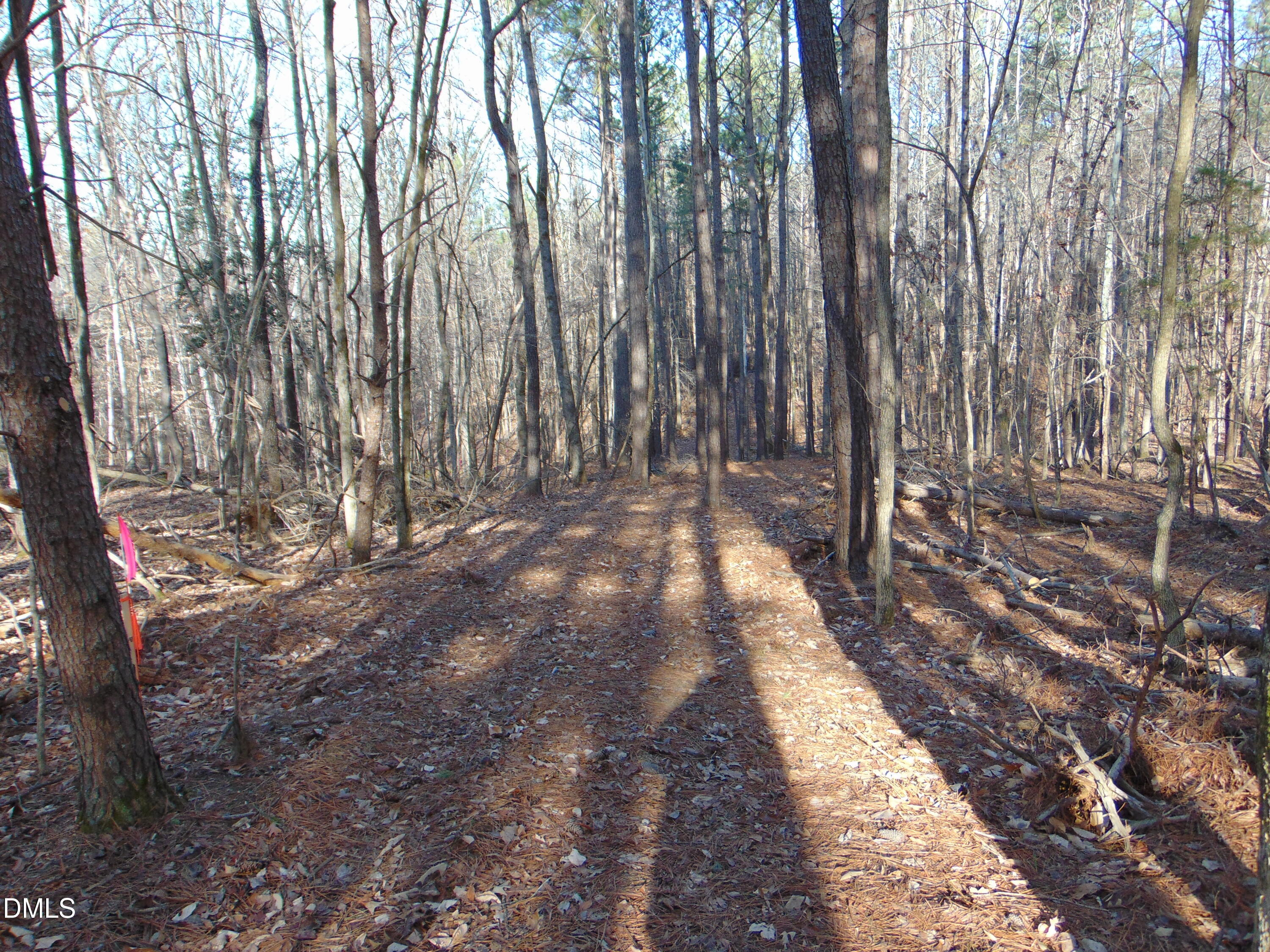 0 Bason Road Mebane, NC 27302 - Photo 22 of 34 a view of backyard with green space