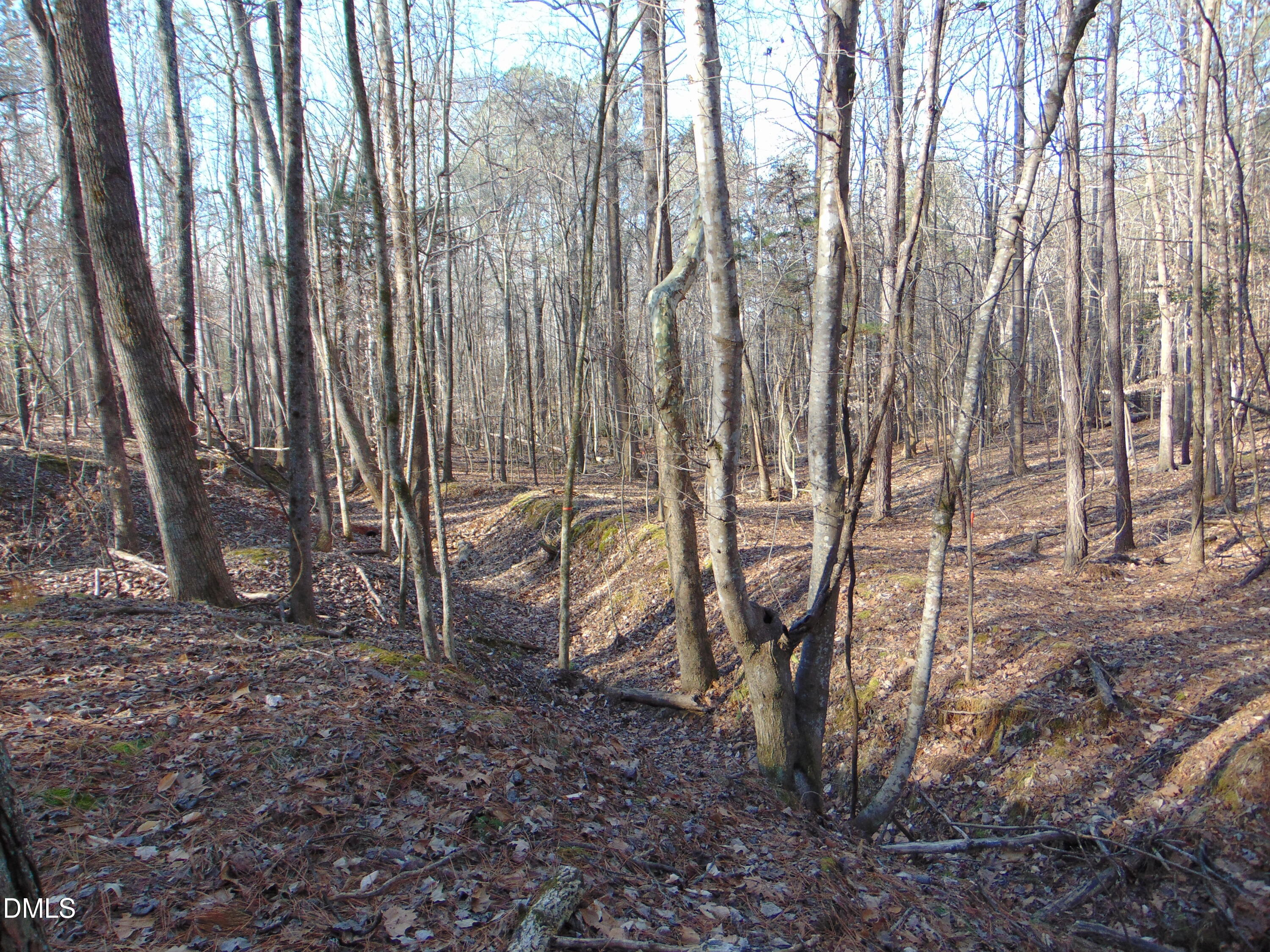 0 Bason Road Mebane, NC 27302 - Photo 23 of 34 a backyard of a house with lots of trees