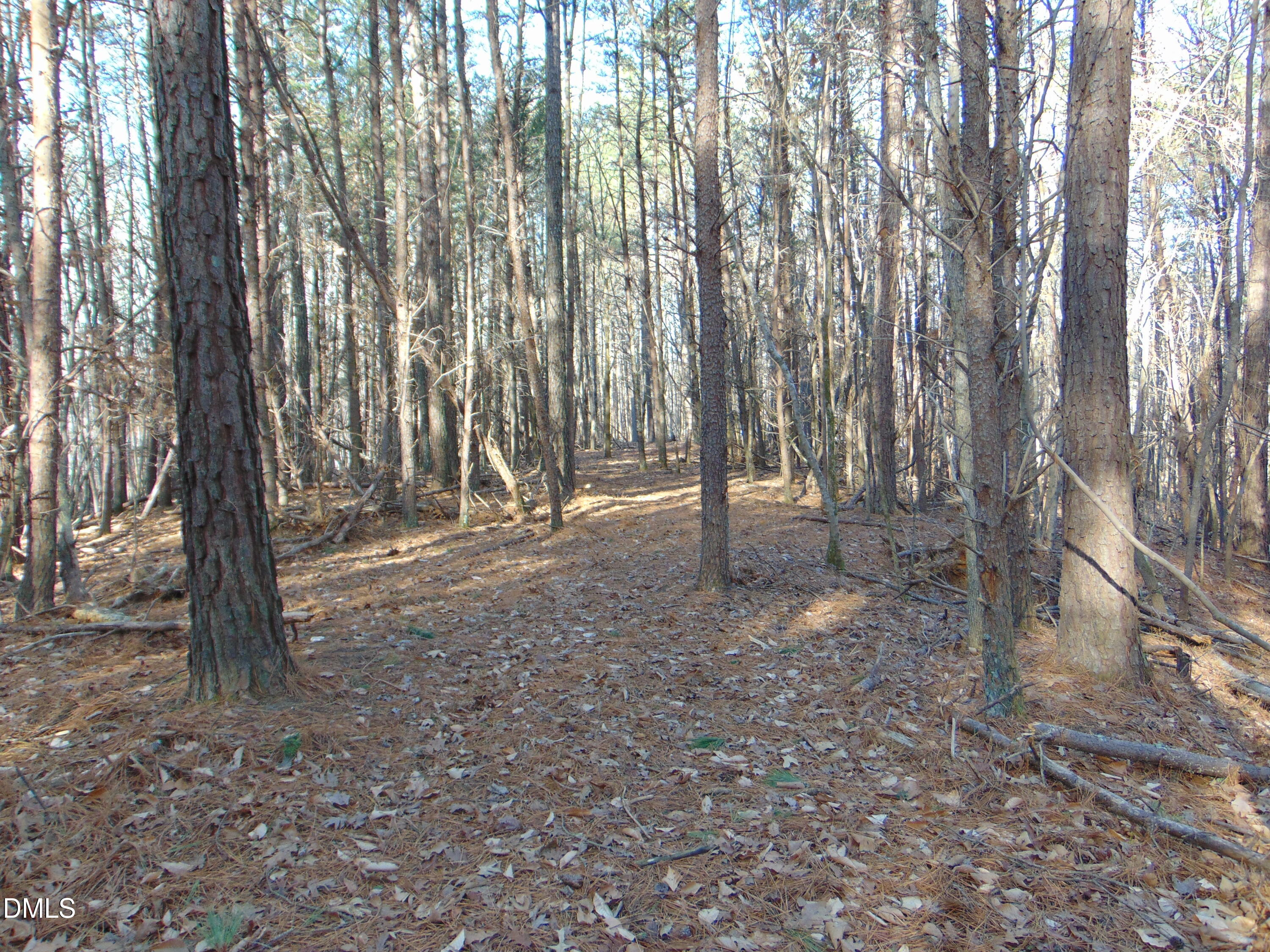 0 Bason Road Mebane, NC 27302 - Photo 24 of 34 a view of outdoor space with lots of trees