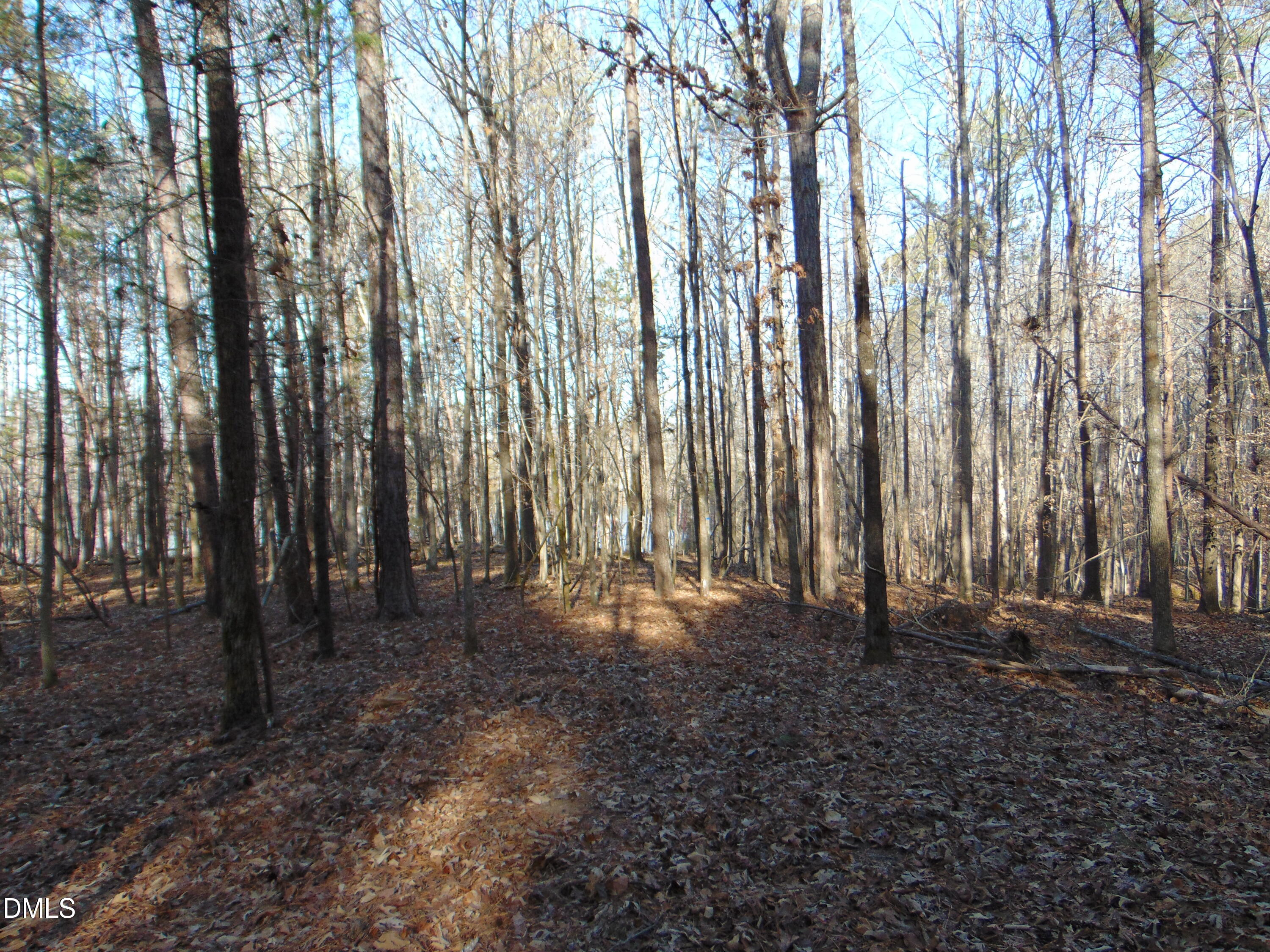 0 Bason Road Mebane, NC 27302 - Photo 25 of 34 a view of outdoor space with lots of trees