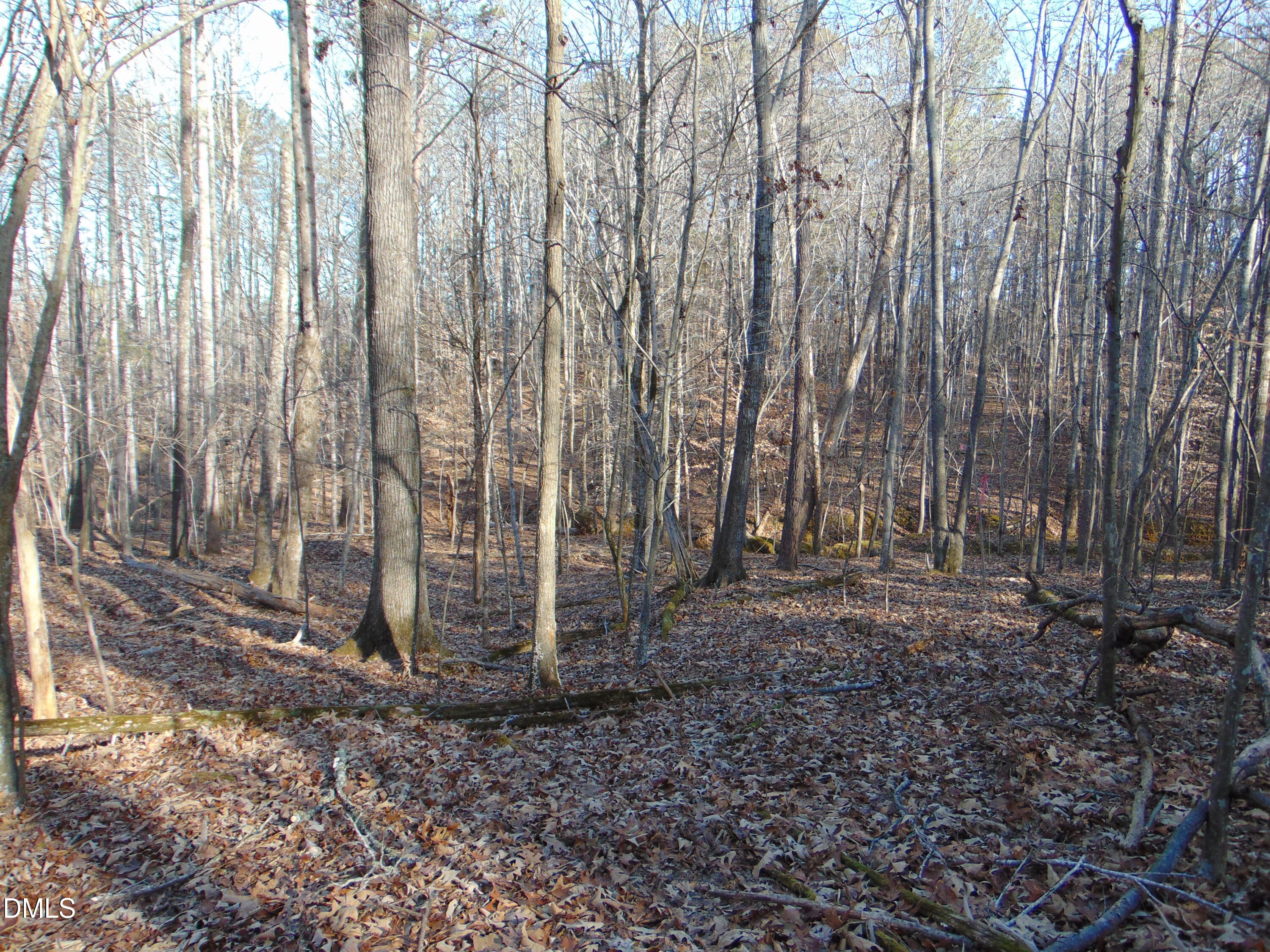 0 Bason Road Mebane, NC 27302 - Photo 26 of 34 a view of a backyard