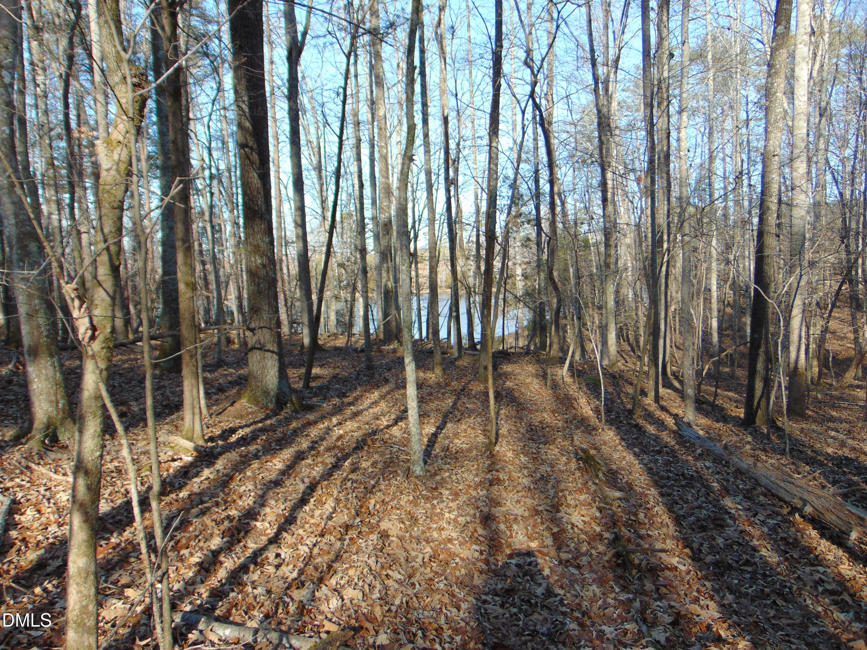 0 Bason Road Mebane, NC 27302 - Photo 27 of 34 a view of backyard with green space