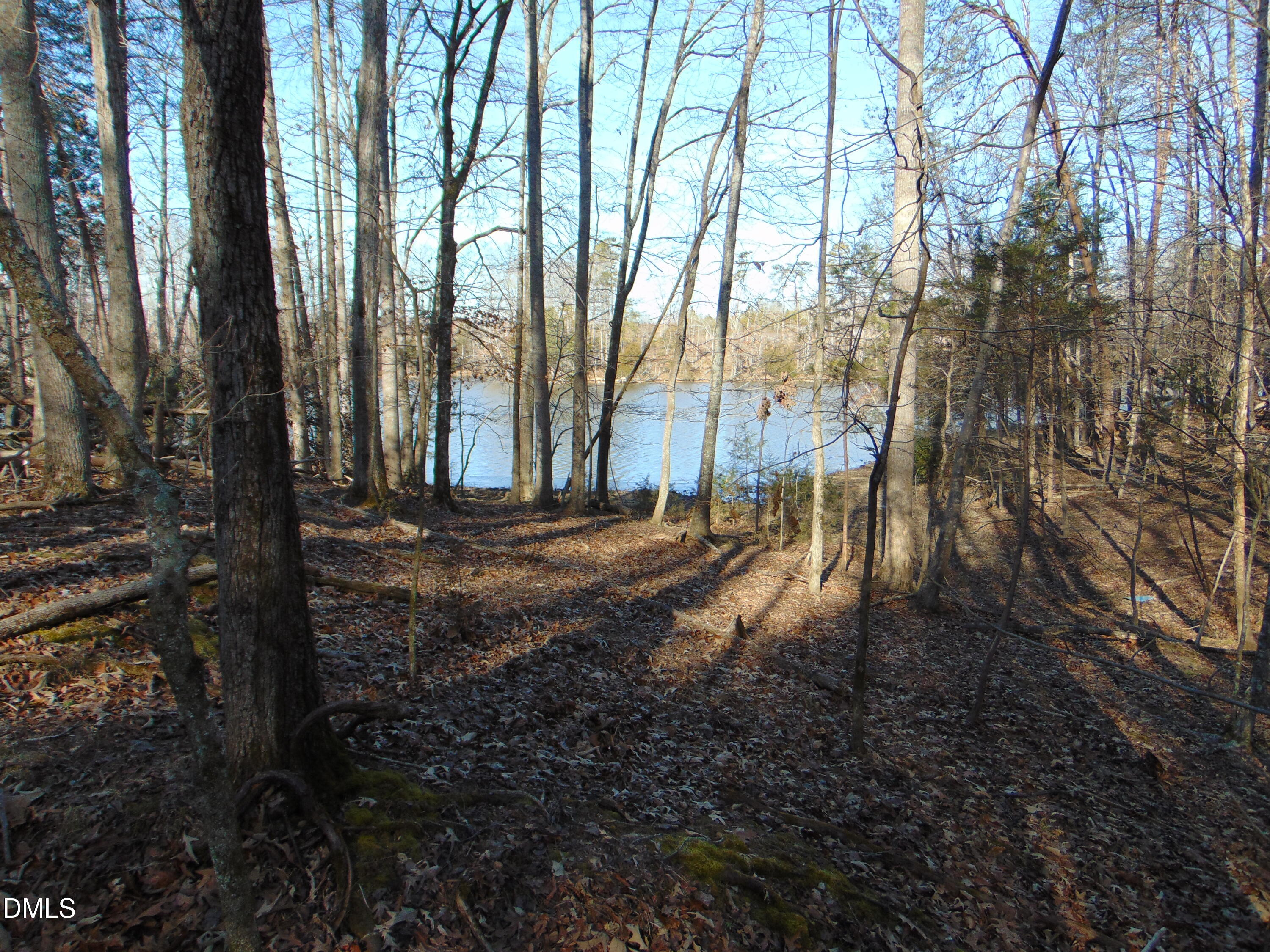 0 Bason Road Mebane, NC 27302 - Photo 28 of 34 a view of backyard with tree