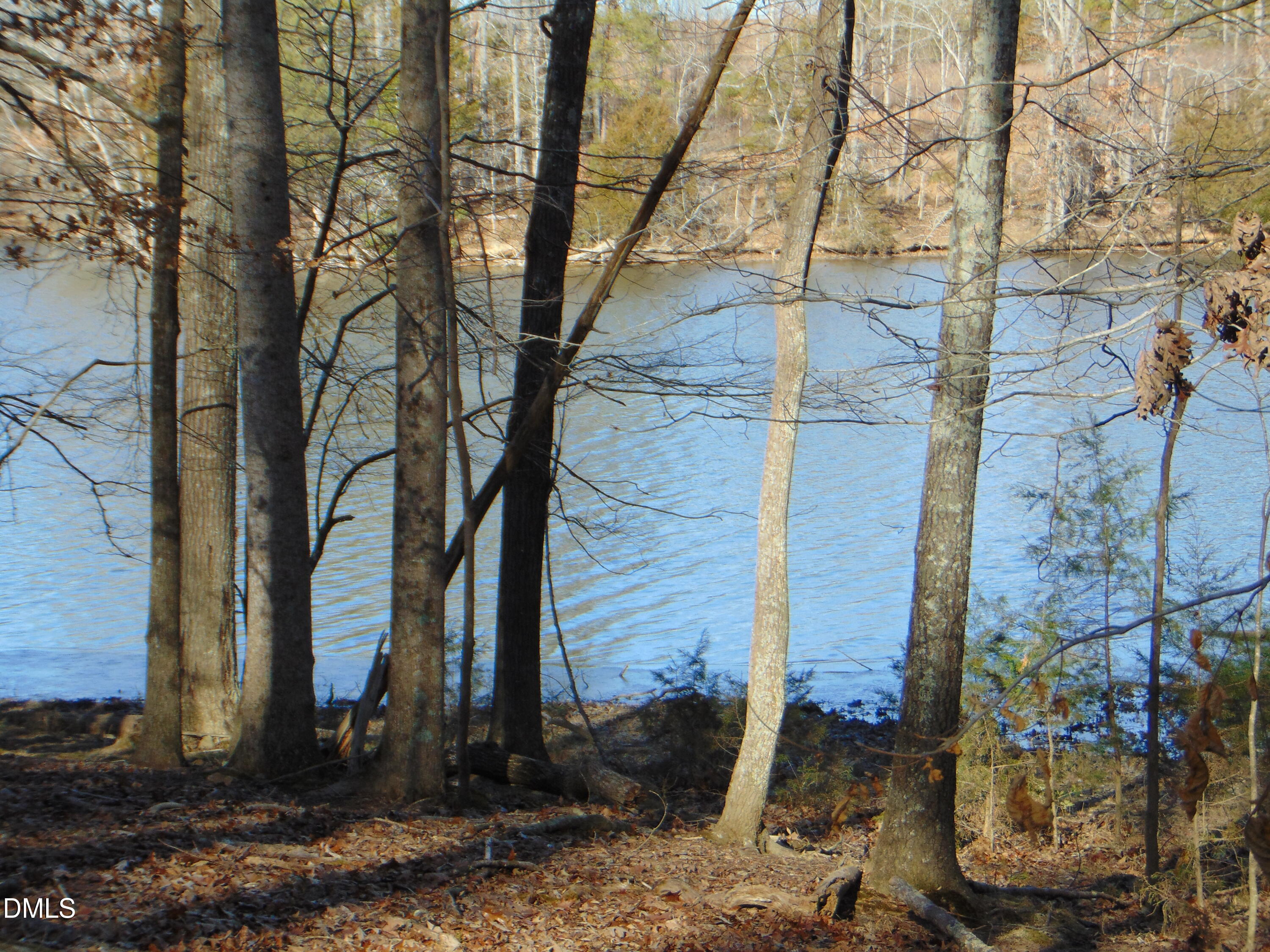 0 Bason Road Mebane, NC 27302 - Photo 29 of 34 a backyard of a house with lots of green space