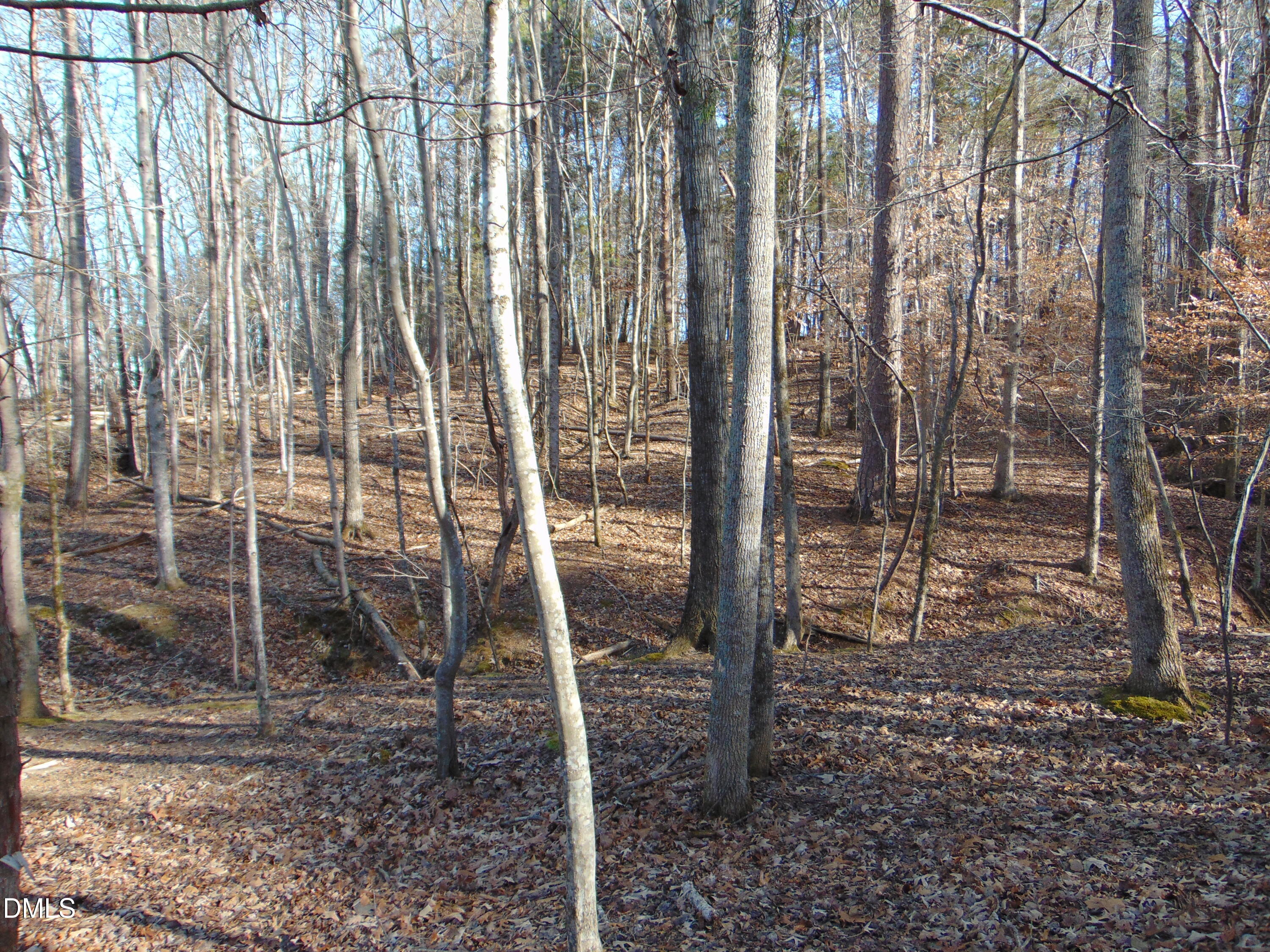 0 Bason Road Mebane, NC 27302 - Photo 30 of 34 a view of a backyard