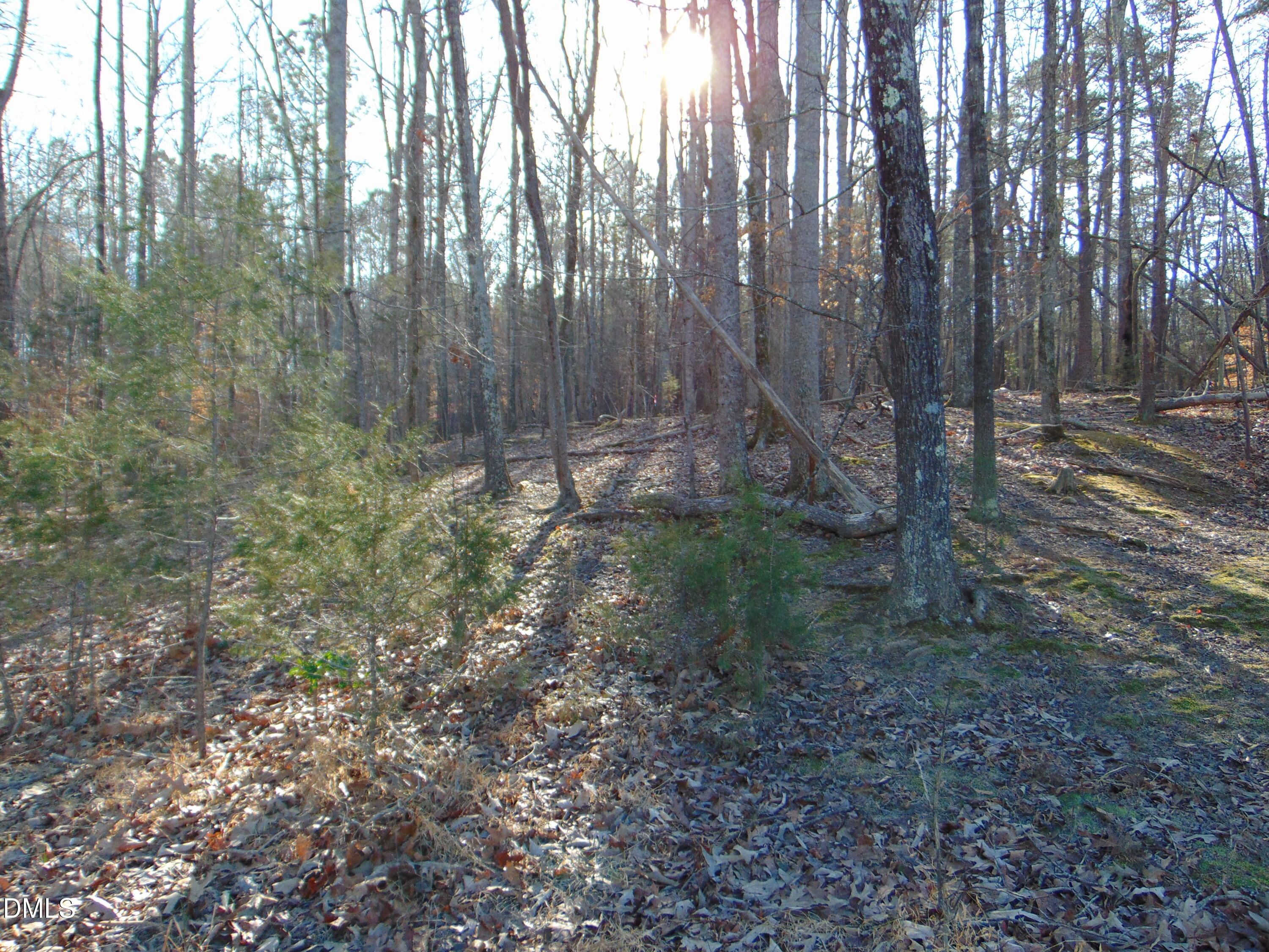 0 Bason Road Mebane, NC 27302 - Photo 33 of 34 a view of a yard with large trees